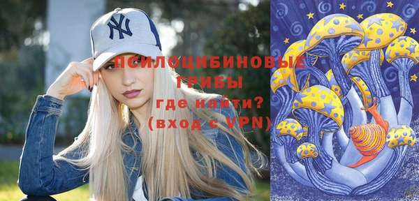 прущий лед Алексин