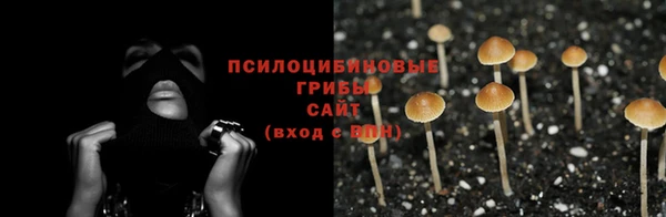 прущий лед Алексин
