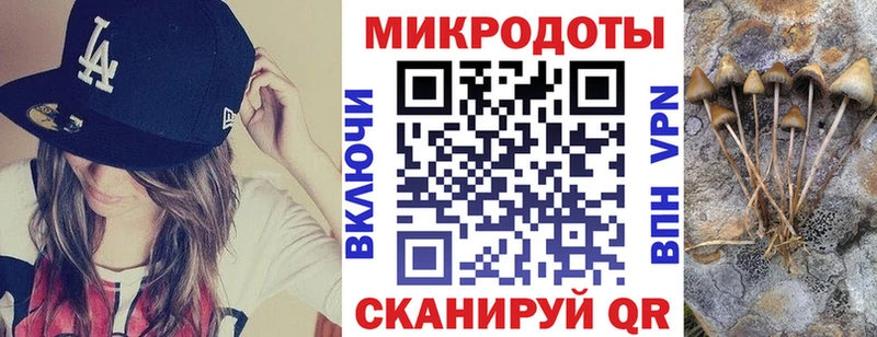 Галлюциногенные грибы Psilocybine cubensis omg ссылка Кизилюрт купить наркотики цена