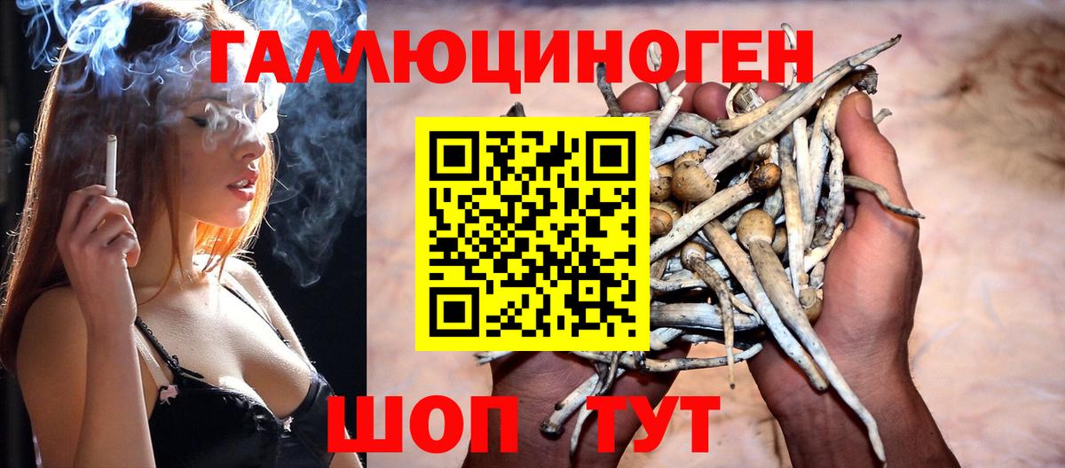 Псилоцибиновые грибы мухоморы Кизилюрт