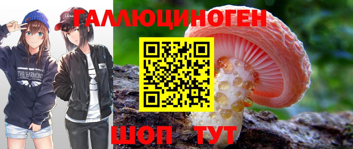 Галлюциногенные грибы прущие грибы  Вход с VPN  Кизилюрт 